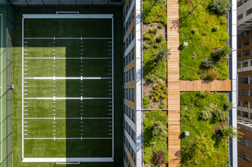 橄欖球場仿真草坪